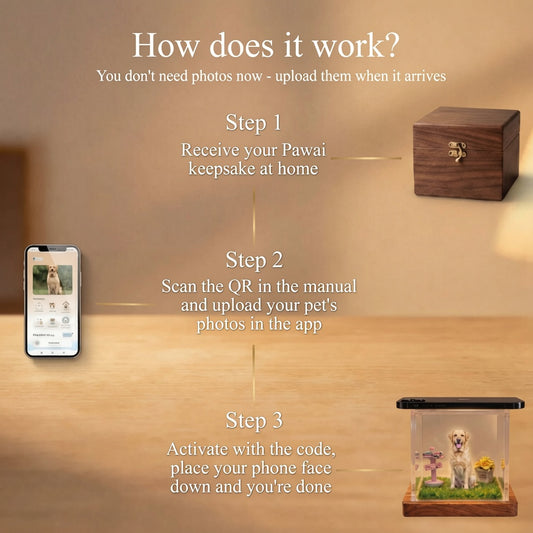 Smart 3D Hologram Pet Memorial Box